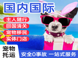张家界荷花机场快运国际宠物托运 【国